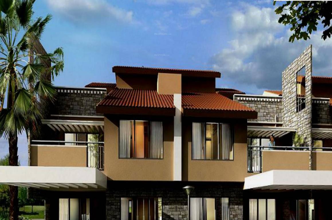  new haven crest Elevation