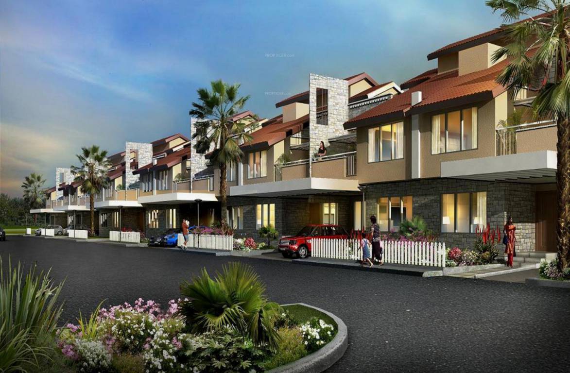  new haven crest Elevation