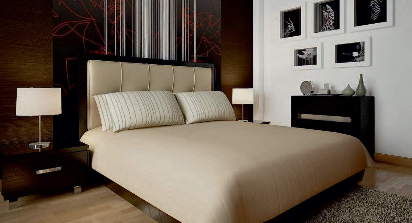  sai wonder Images for Main Other of Paradise Sai Wonder