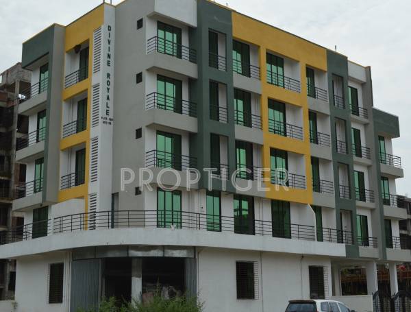 Images for Elevation of Radiance Divine Royale