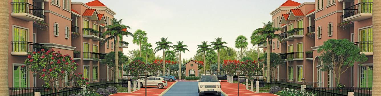 Images for Elevation of CHD Paradiso Images for Elevation of CHD Paradiso