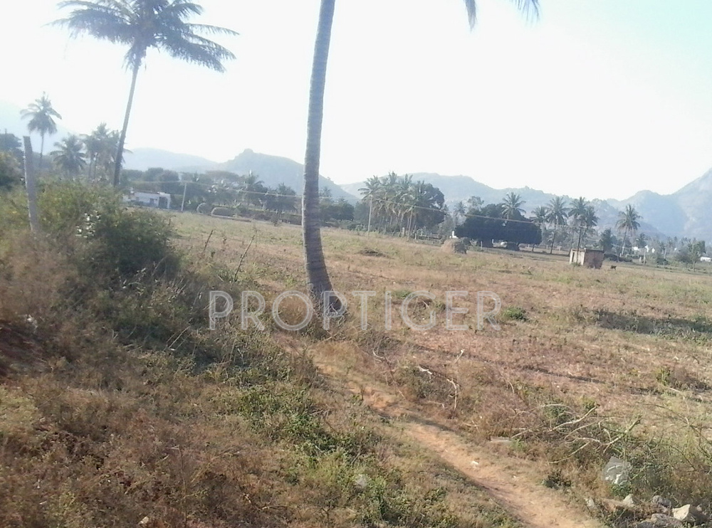 Images for Elevation of Manani North City