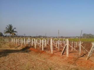 Project Image Project Image