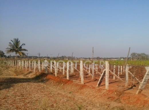 Images for Elevation of Manani North City Images for Elevation of Manani North City