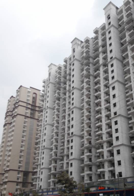  grand avenue Images for Project