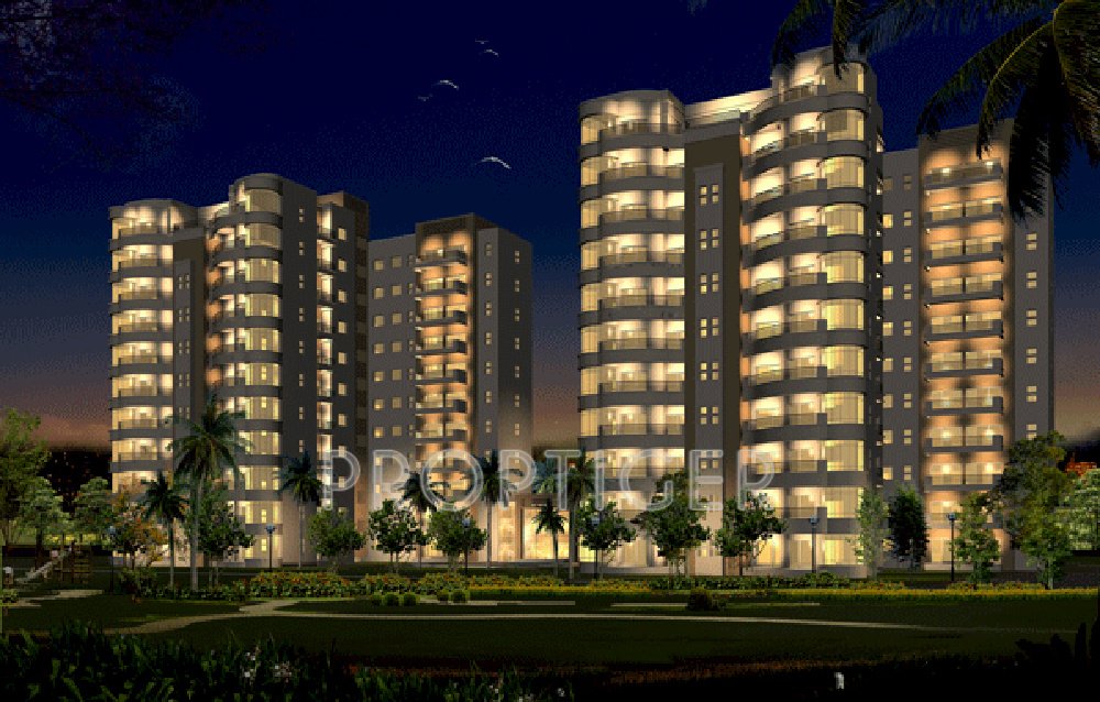 orchids Images for Elevation of Tarang Orchids