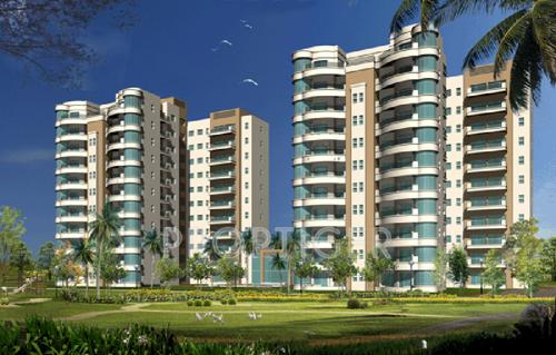 Images for Elevation of Tarang Orchids orchids Images for Elevation of Tarang Orchids