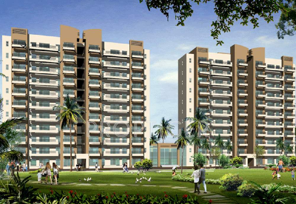 orchids Images for Elevation of Tarang Orchids