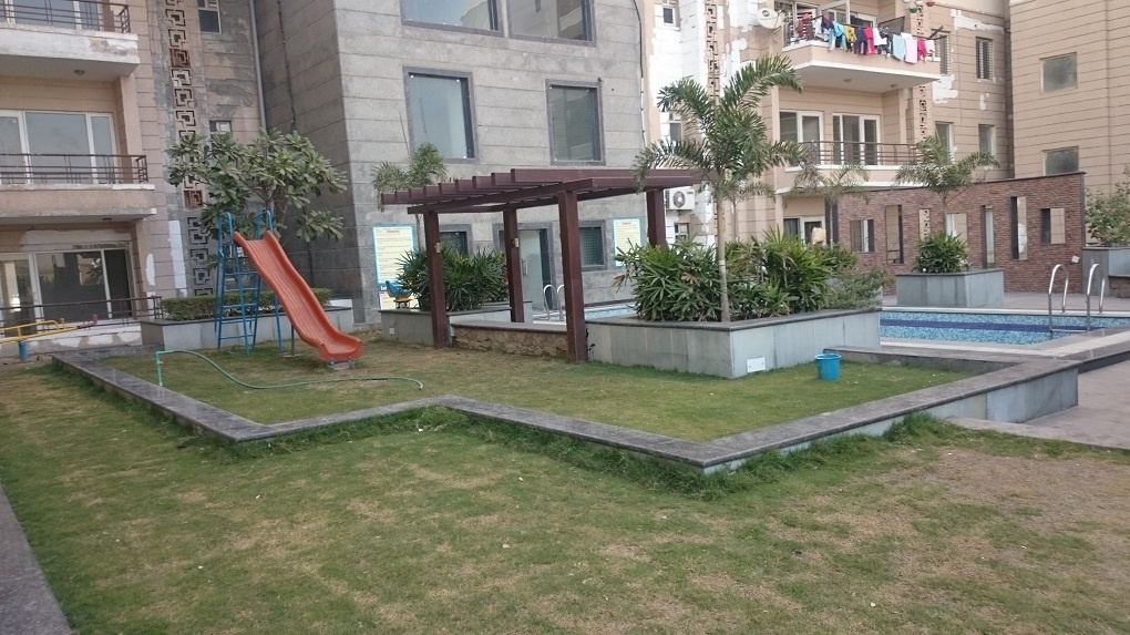 orchids Children's play area