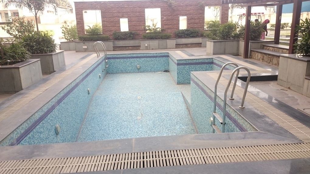 orchids Swimming Pool