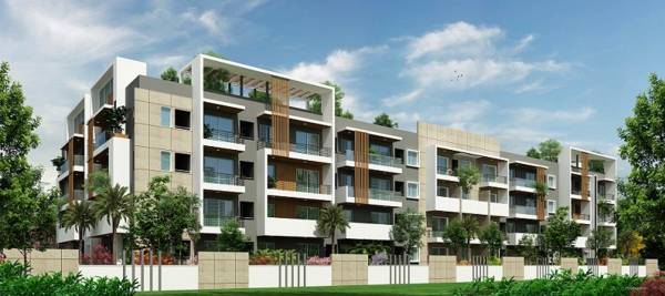  gracious Images for Elevation of Estella Gracious