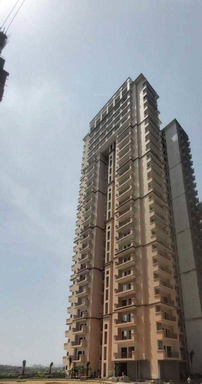  sports home Elevation