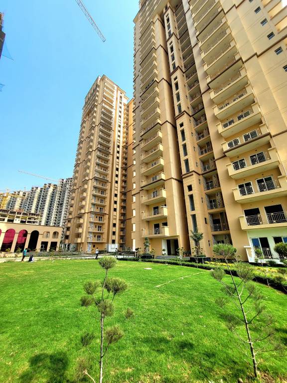  sports home Elevation