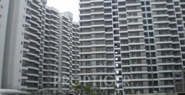 Images for Elevation of Crossings Infra