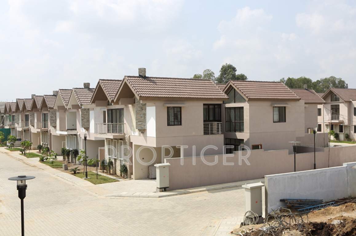 Images for Elevation of SSPDL Lakewood Enclave