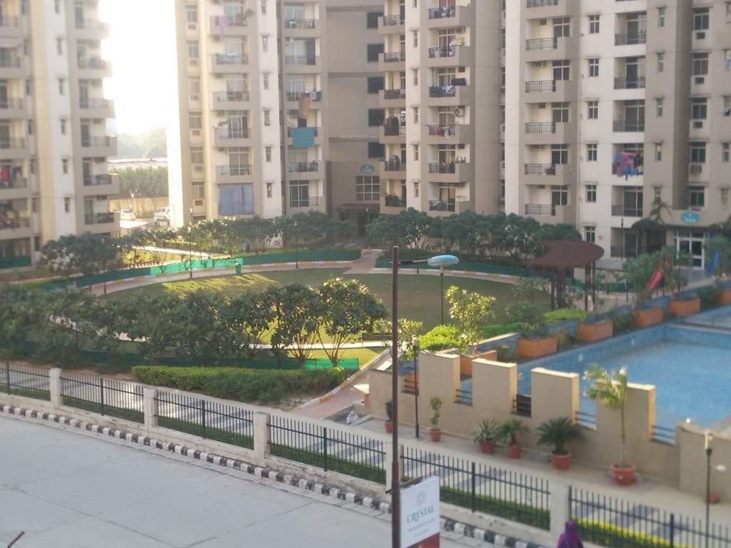  le residency Landscape Garden and Tree Planting