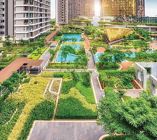  park Landscape Garden and Tree Planting