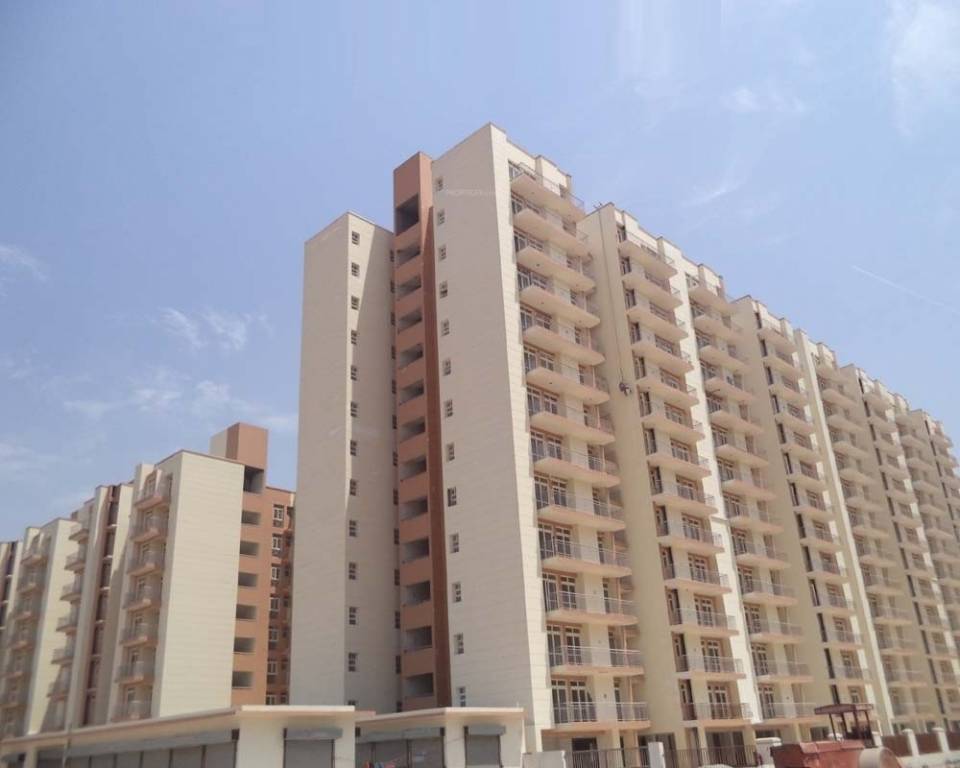  platinum plus Elevation