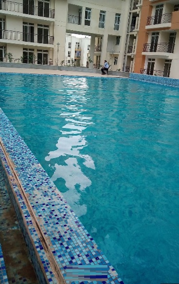  platinum plus Swimming Pool