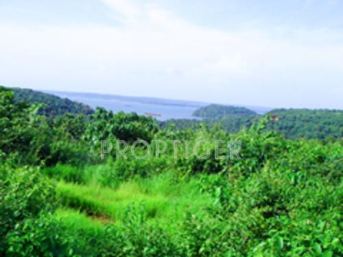 Images for Main Other of Mohidin The Grand Avenue Images for Main Other of Mohidin The Grand Avenue