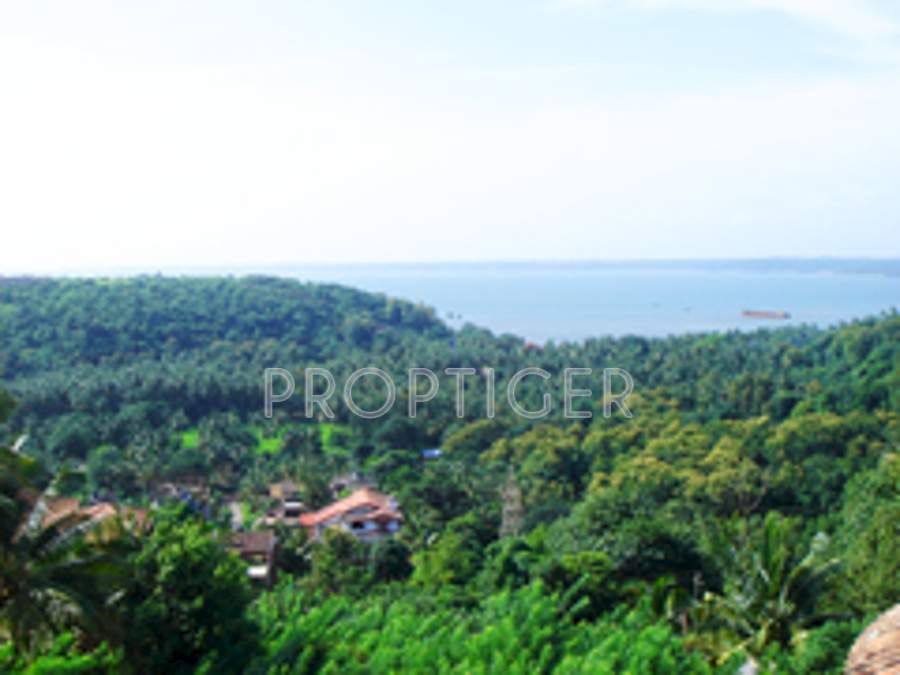 Images for Main Other of Mohidin The Grand Avenue