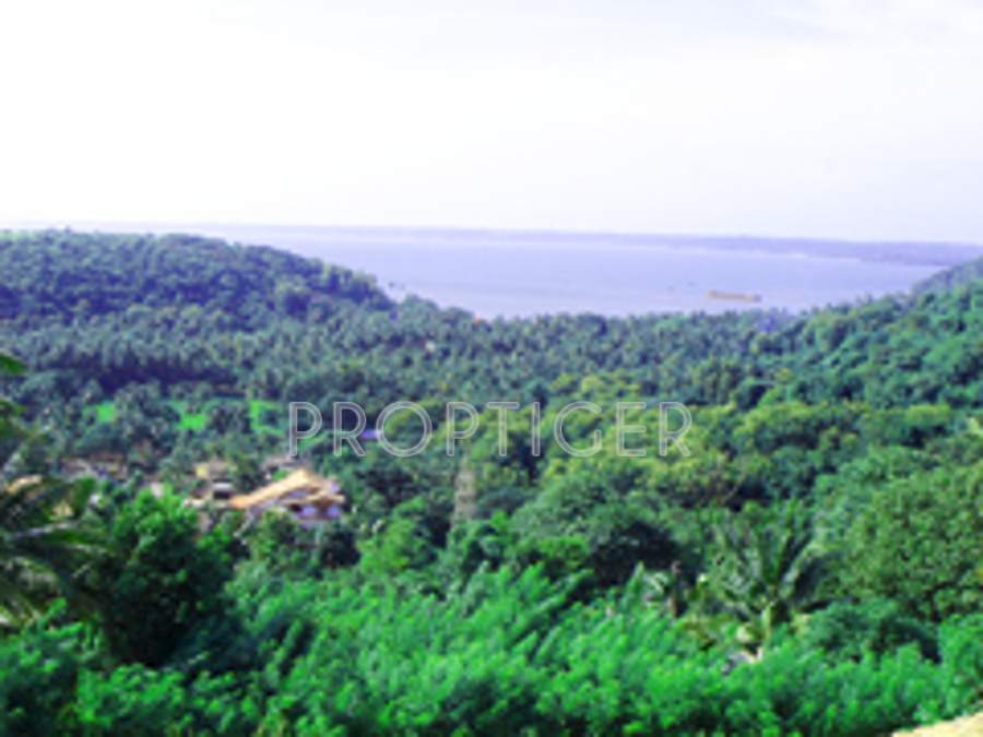 Images for Main Other of Mohidin The Grand Avenue