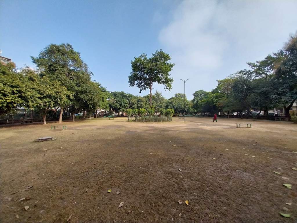  mayfield garden Landscaped Gardens