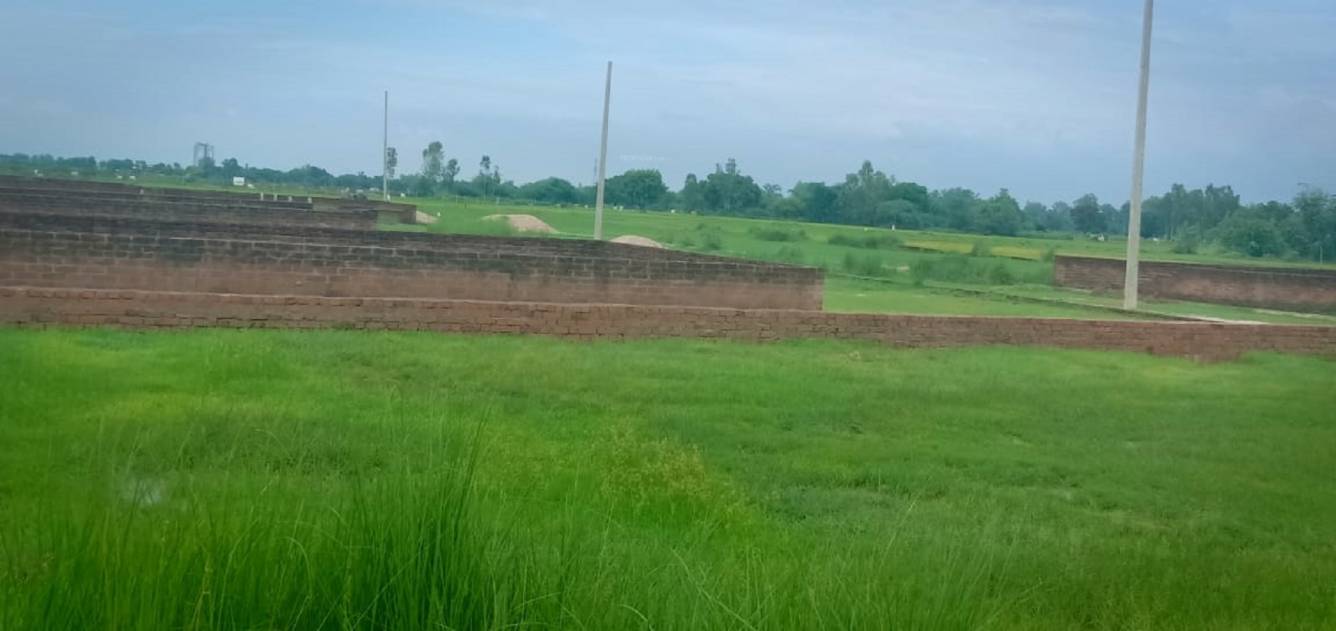  residency phase1 Plot