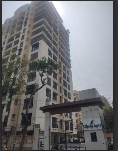 spring leaf Elevation