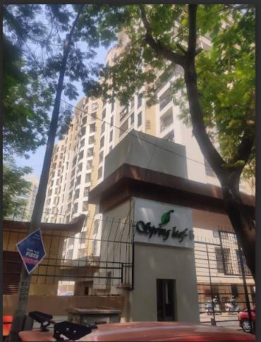 spring leaf Elevation