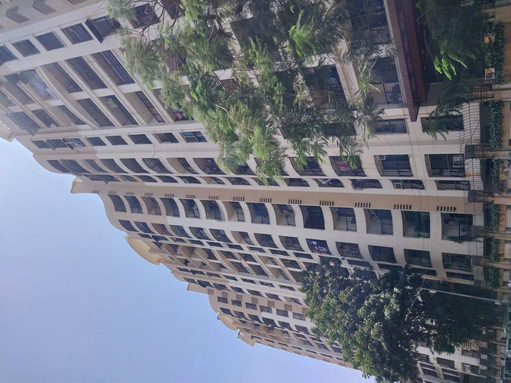 spring leaf Elevation