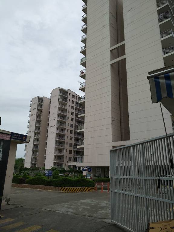  premier urban Images for Project