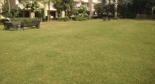  teachers-apartments Landscaped Gardens