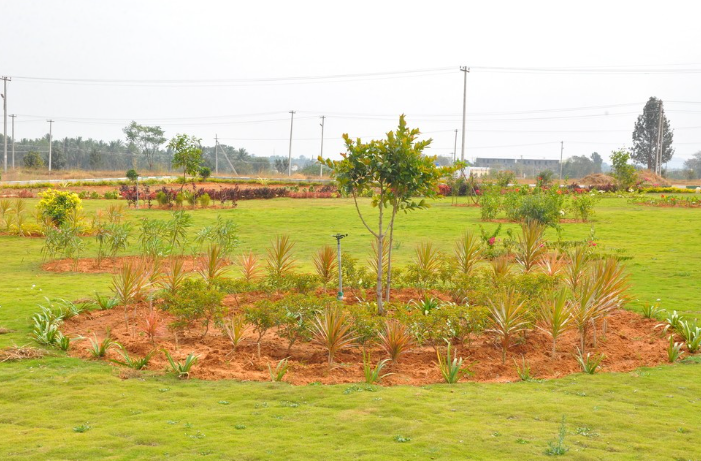 spring valley Landscaped Gardens