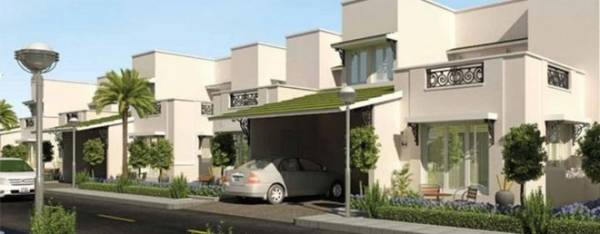  thiruvanmiyur Elevation