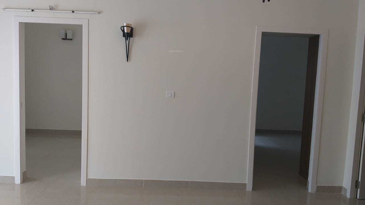 Images for mainOther