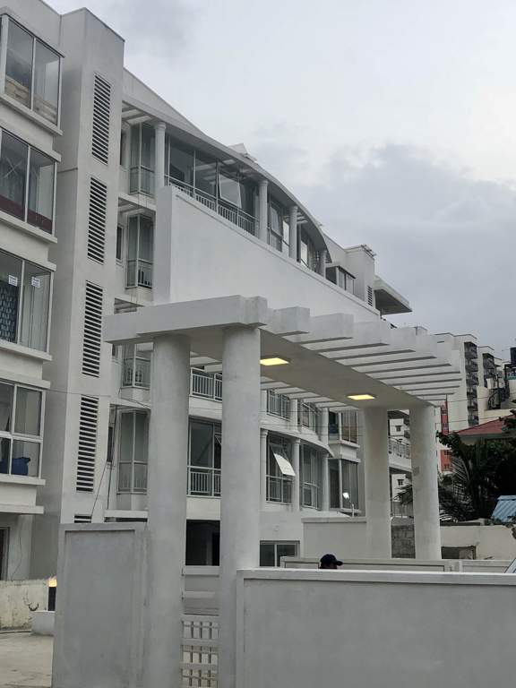 Images for Elevation of TG Epitome