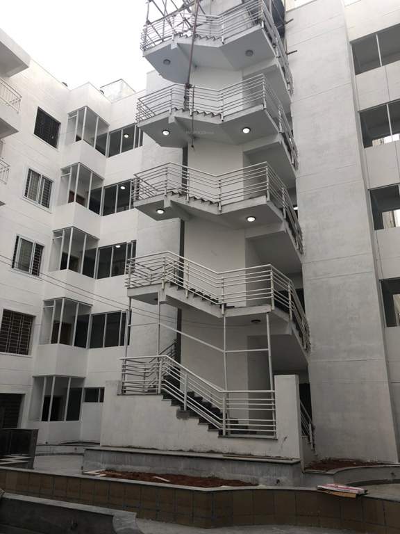 Images for Elevation of TG Epitome