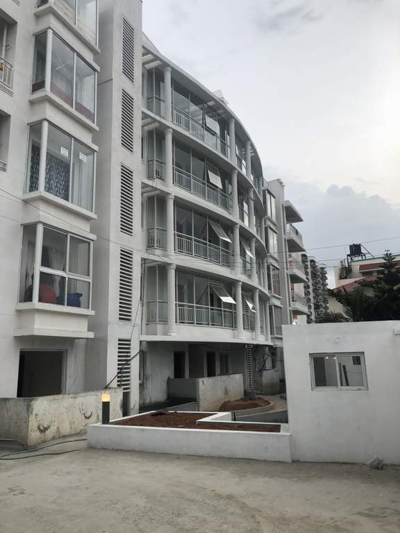 Images for Elevation of TG Epitome