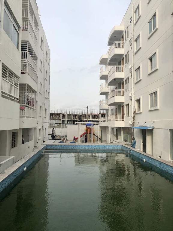 Images for Elevation of TG Epitome