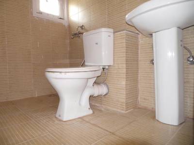 Bathroom palms Bathroom