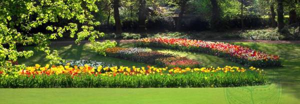 Images for Amenities of Rohan Lifescapes Hari Har