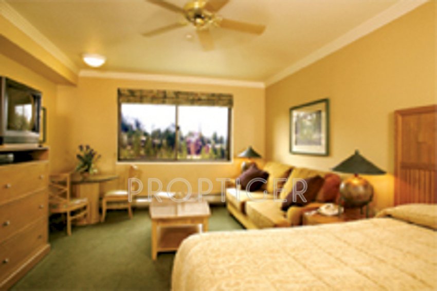 Images for Main Other of Top Constructions Orchid