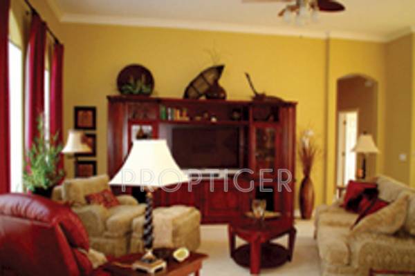 Images for Main Other of Top Constructions Orchid Images for Main Other of Top Constructions Orchid