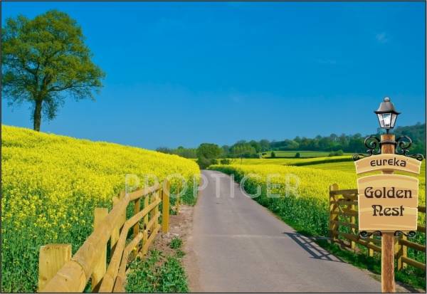 Images for Main Other of Eureka Golden Nest Images for Main Other of Eureka Golden Nest