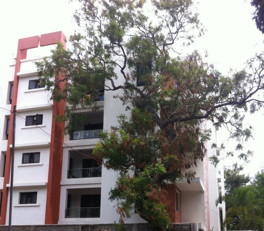 Images for Elevation of Pricol Amber Glow