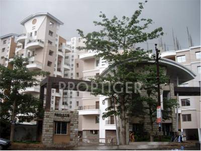 Images for Elevation of Kunal Regulus Images for Elevation of Kunal Regulus