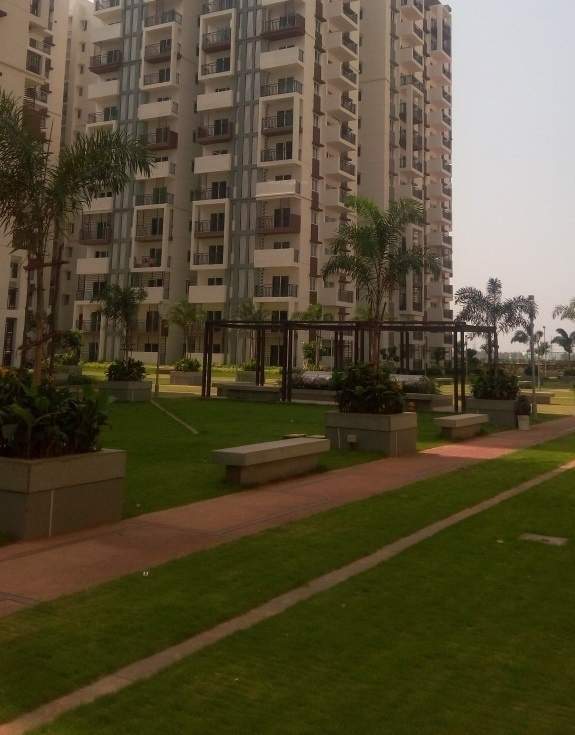  cyber life Landscape Garden and Tree Planting