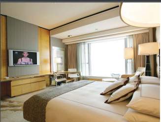 ascott ireo city Others