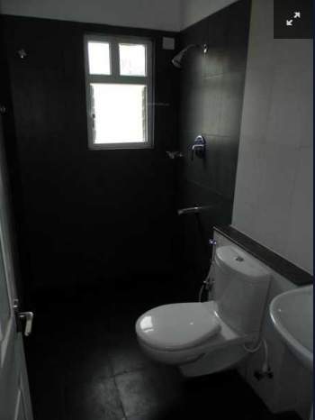  silver springs Others